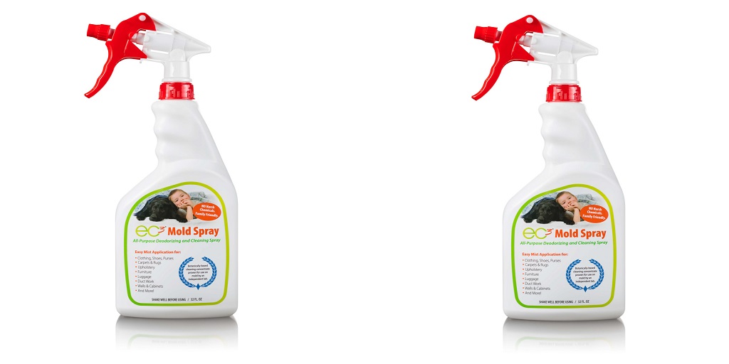 The Dangers of Mold and How EC3 Mold Spray Can Help - BuzzNewsLive - Best Guest Posting Site