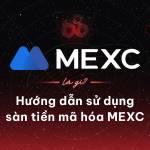 Mexc Tin tức