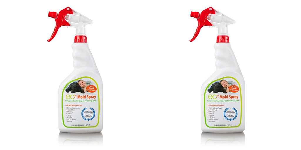 Removing Mold on Plastic Surfaces - BuzzNewsLive - Best Guest Posting Site