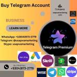 Telegram, Premium Account