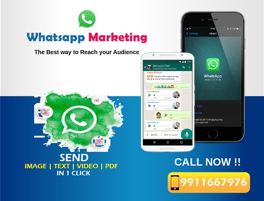 WhatsApp Marketing Service Provider in Delhi | Skyline SMS