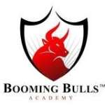 Booming Bulls
