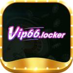 vip66 locker