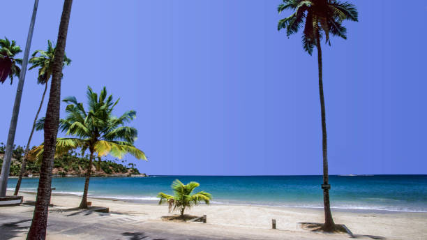 andamanemeraldtravels