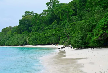 Best Taxi Hire in Andaman - andamanemeraldtravels