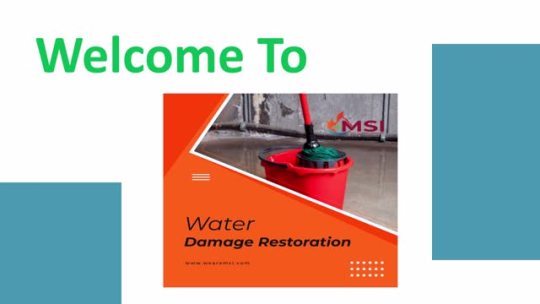 There are different categories of water that can cause different degrees of damage Work with MSI specialists today for... – @elizabethruby on Tumblr