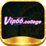 vip66college vip66college