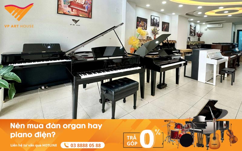 Nên Mua Đàn Organ Hay Piano Điện? Giải Đáp Chi Tiết