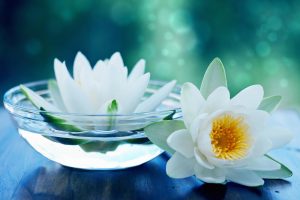 Services - Endpoint Wellness