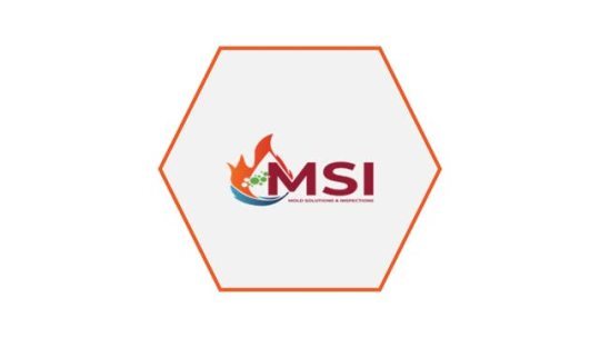 We offer mold remediation service involves a series of steps that enable us to perform a thorough process Work with MSI today... – @elizabethruby on Tumblr