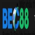 Bec88 blog