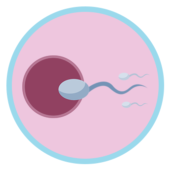 Best Altruistic Surrogacy Centre in Delhi | Surrogacy in Delhi