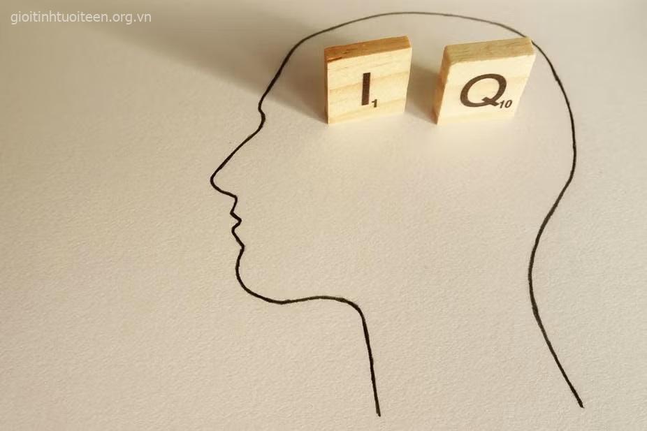 Chỉ số IQ: Định nghĩa, phân loại, cách đo và hiểu lầm phổ biến