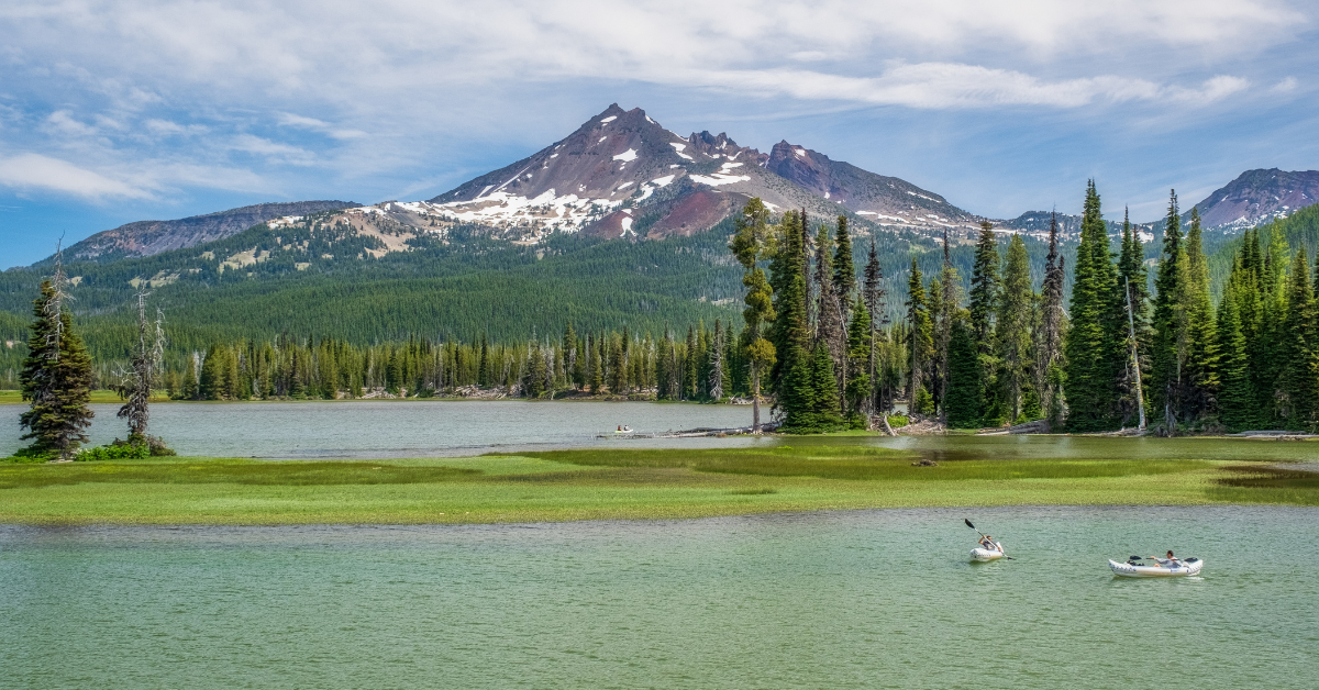 Yellowstone National Park: A Complete Travel & Nature Guide 2025