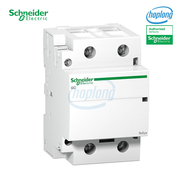 GC10020M5 Schneider - Tesys GC - 2P - 100A - 2NO