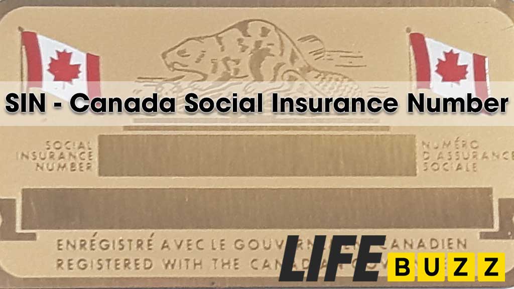 SIN Number (Social Insurance Number) Canada: Why It Matters