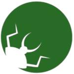 Pest Control Dubai