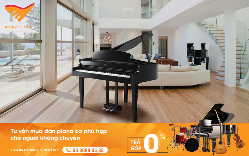 Tư Vấn Mua Đàn Piano Cơ Phù Hợp Cho Người Không Chuyên