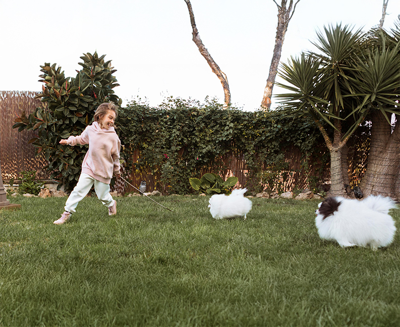 Pet Turf Austin | National Greens of Houston