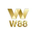 W88 SIVER
