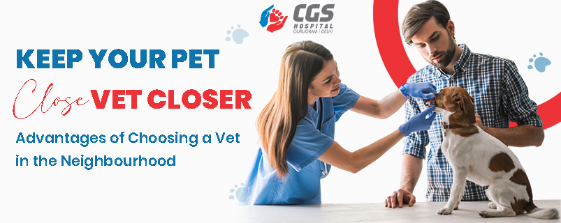 Veterinarian Near Me For Dogs | CGS Hospital