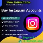 Buy Instagram Accounts