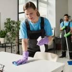 alpinecleaning services