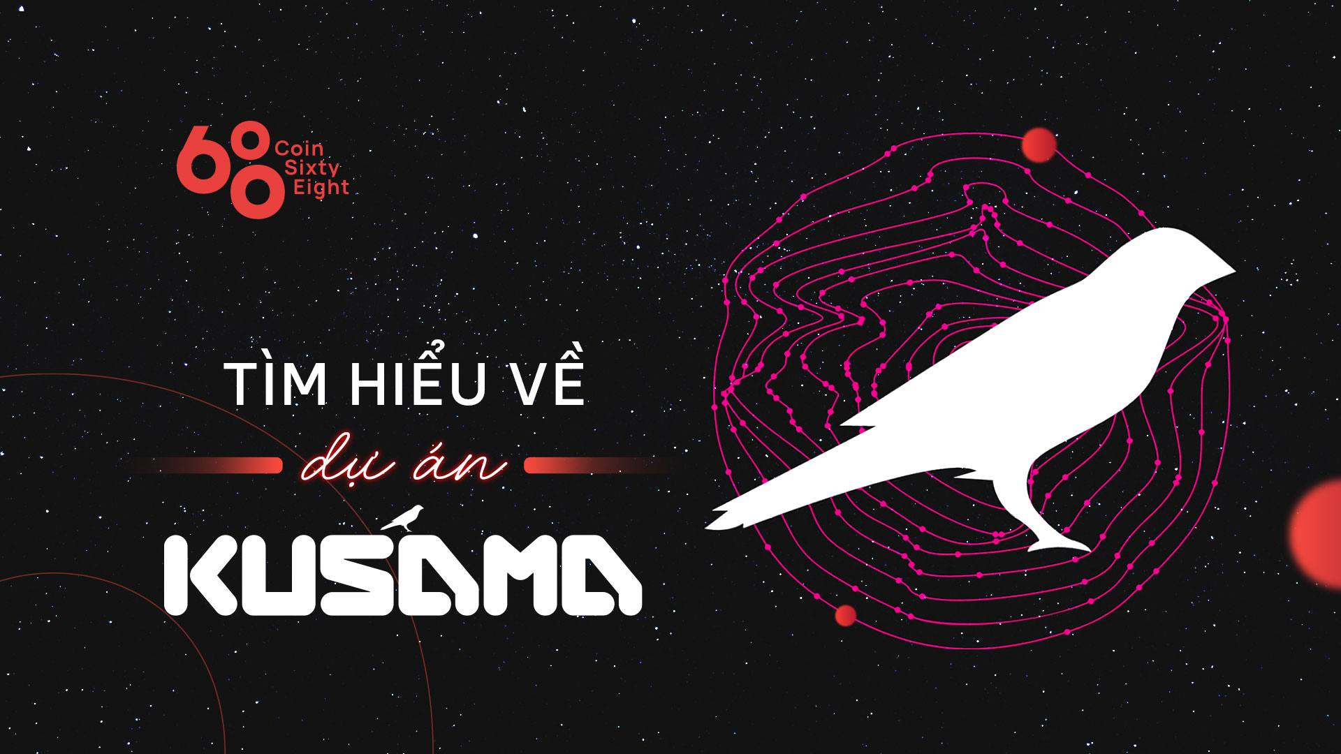 Kusama (KSM) là gì? Thông tin chi tiết về mạng lưới Kusama và KSM coin
