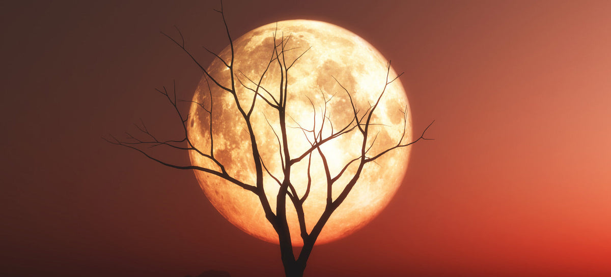 The August Moon: Seasonal Knitting & Crochet Ideas | Lantern Moon