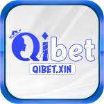 qibetxin qibetxin