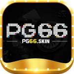 pg66skin