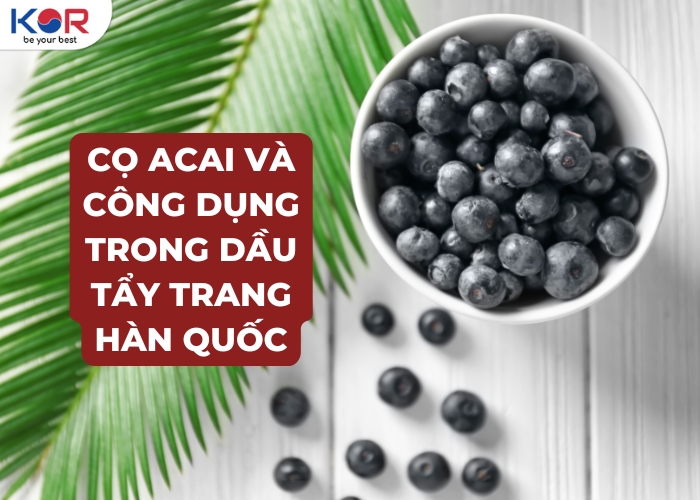 Cọ Acai và công dụng trong dầu tẩy trang Hàn Quốc là gì?