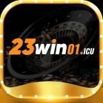 23win01icu