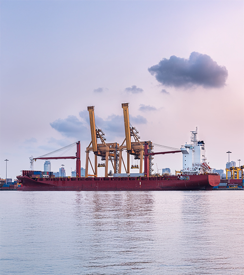 Trusted Freight Forwarders in jaipur | Alltrans India