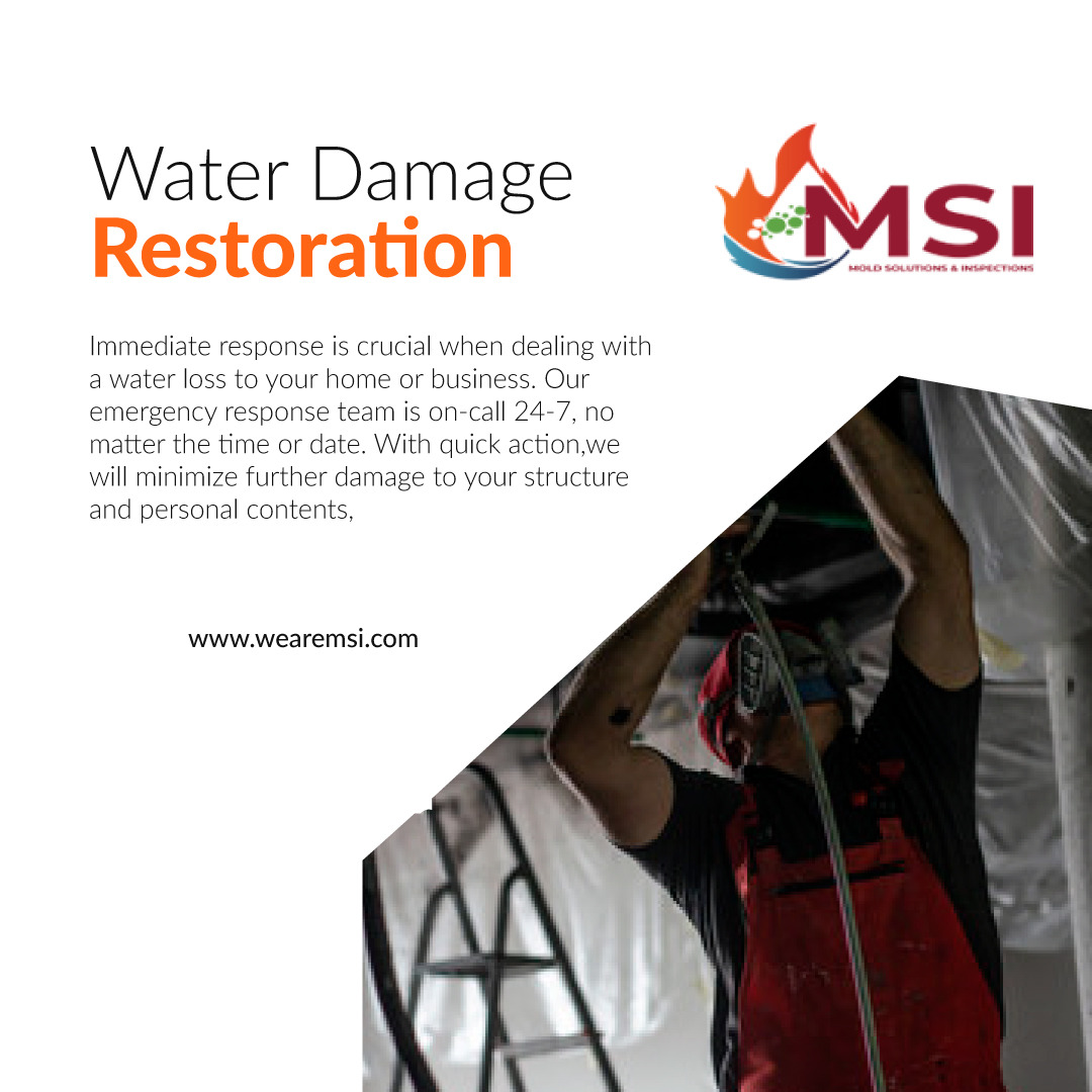 From Damage to Restoration: How MSI Restores Your Home After Water Damage – @elizabethruby on Tumblr
