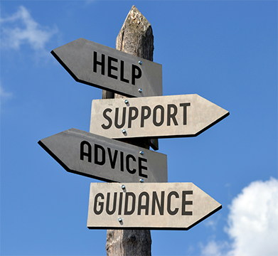 Serene Minds Counseling Services