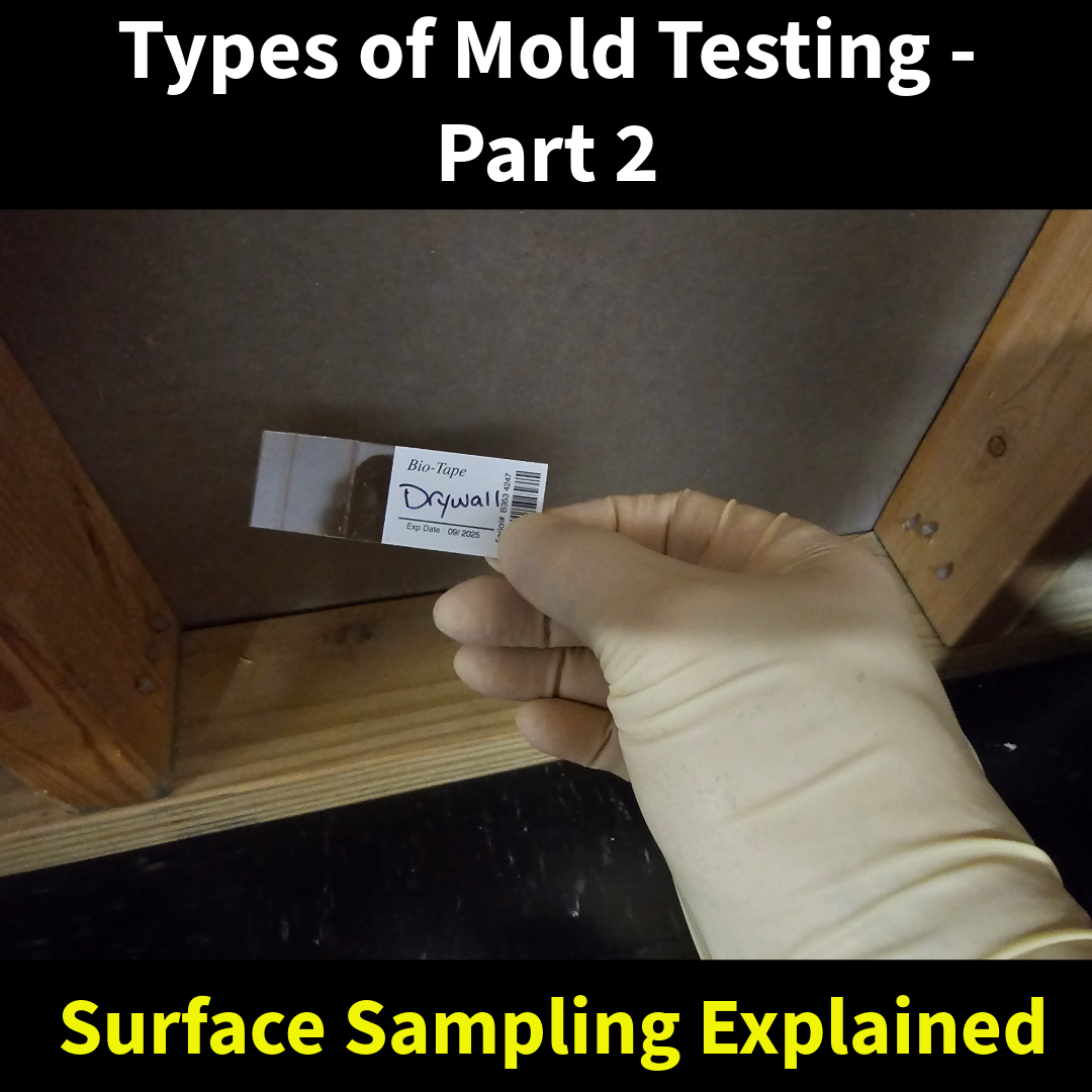 Mold Testing Part 2: Surface Sampling | Mold Solutions & Inspections, LLC