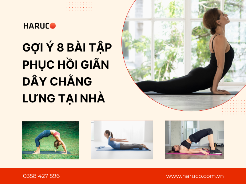 Gợi ý 8 bài tập phục hồi giãn dây chằng lưng tại nhà