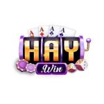 Haywin Nhà cái uy tín hàng đầu