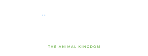 Know All Animals