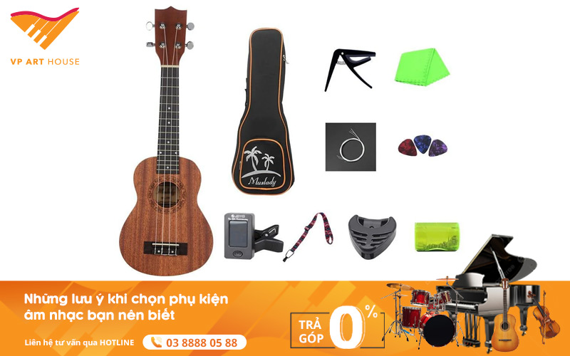Những Lưu Ý Khi Chọn Phụ Kiện Âm Nhạc Bạn Nên Biết