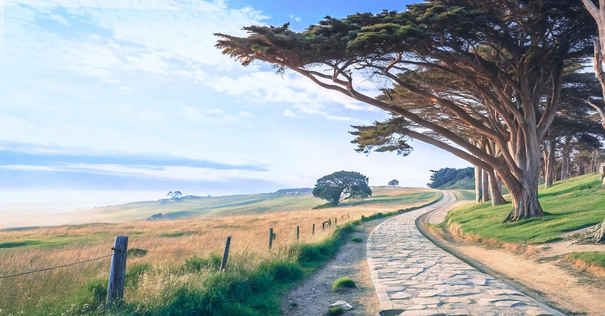 Horticultural Therapy - Riva Mental Health