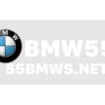 55bmwsnet