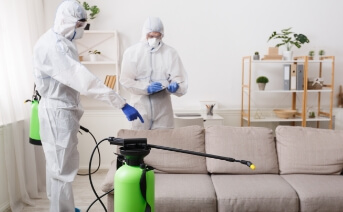 Hoarding Cleanup in Cherry Hill, NJ | Mold Solutions & Inspections, LLC