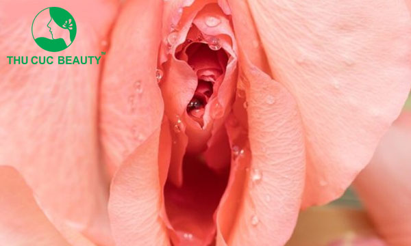 Phẫu thuật thẩm mỹ vùng kín và những điều cần biết - Bệnh viện Thẩm mỹ Thu Cúc
