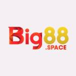 Nhà Cái BIG88