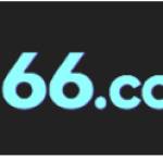 566win