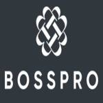 Boss Promotions