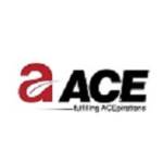 Ace Group India