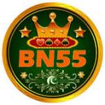 bn55 game